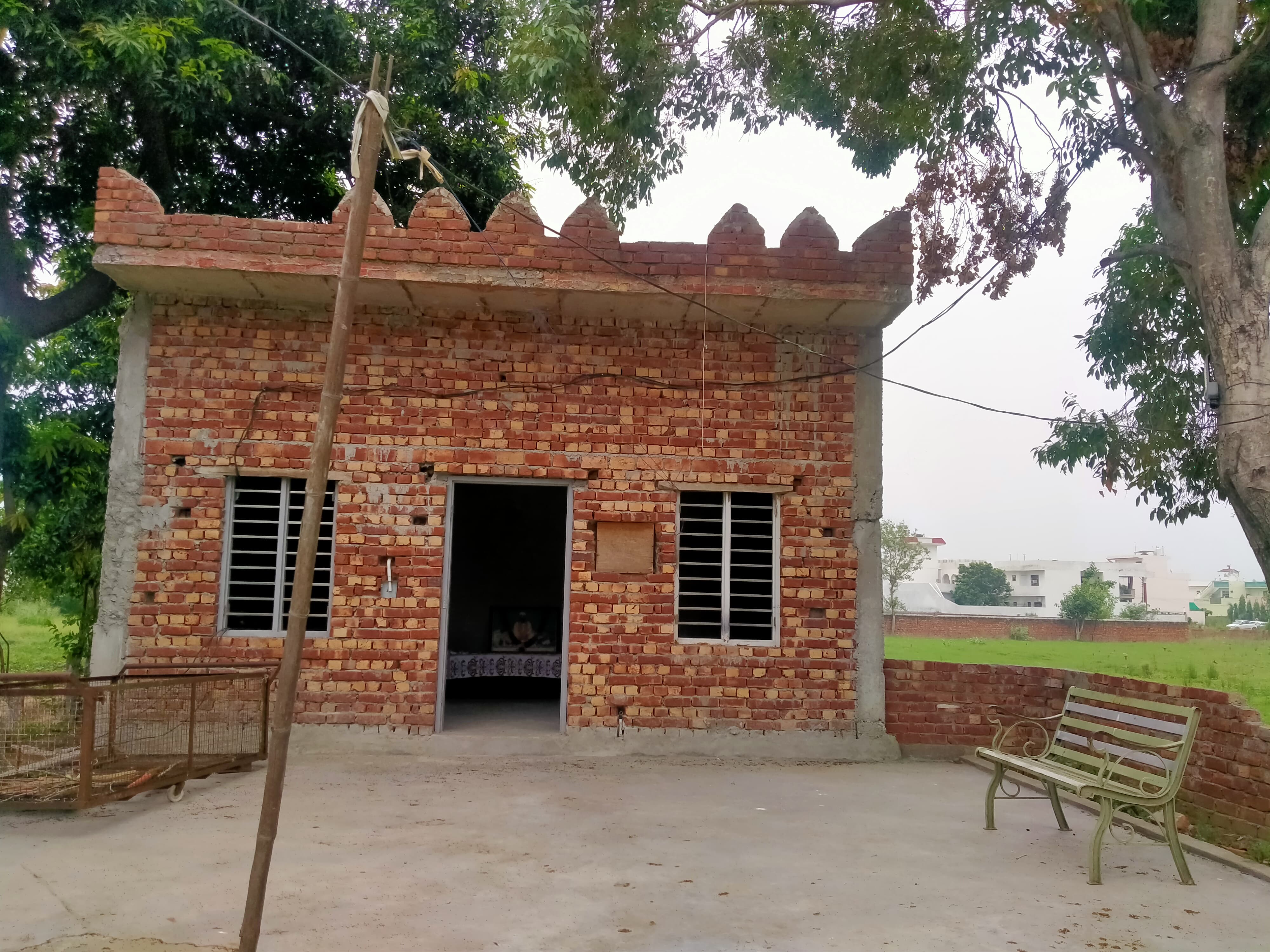 Image 6